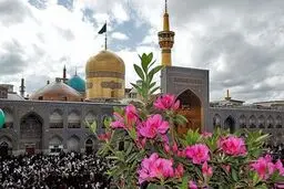 تصویری از درب طلای جدید حرم امام رضا (ع)
