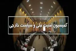 جزئیات نشست کمیسیون امنیت ملی با دبیر شورای عالی امنیت ملی