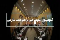 جزئیات نشست کمیسیون امنیت ملی با دبیر شورای عالی امنیت ملی