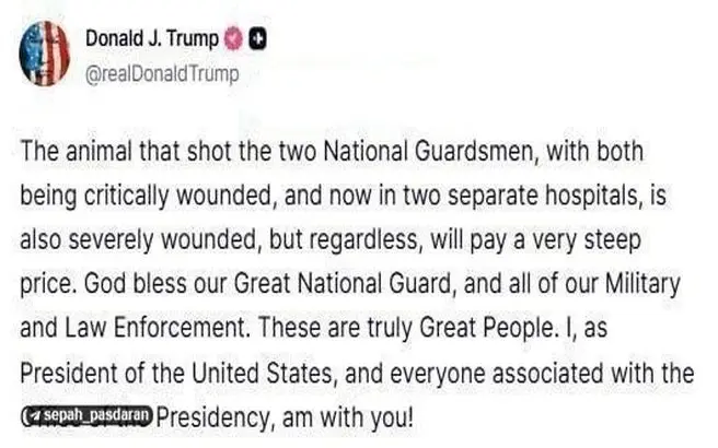 لحظه دستگیری فرد مهاجم در نزدیکی کاخ سفید