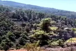 اطفای هوایی حریق در آمریکا