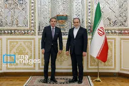 تصاویر دیدار رافائل گروسی و عراقچی