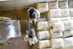 قیمت سیمان رکورد زد