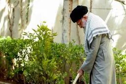 عکس | کاشت نهال توسط رهبر انقلاب در روز درختکاری