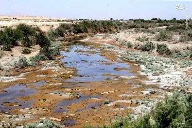 رئیسی زاینده رود