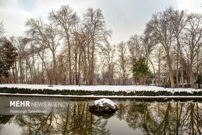 کاخ نیاوران