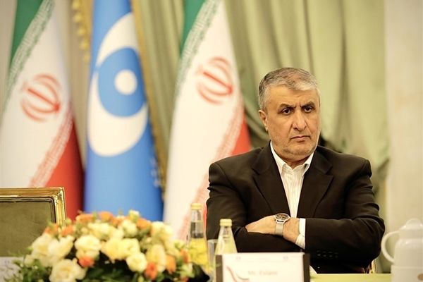 اسلامی: واکنش ایران به قطعنامه آژانس قاطع و چند لایه خواهد بود