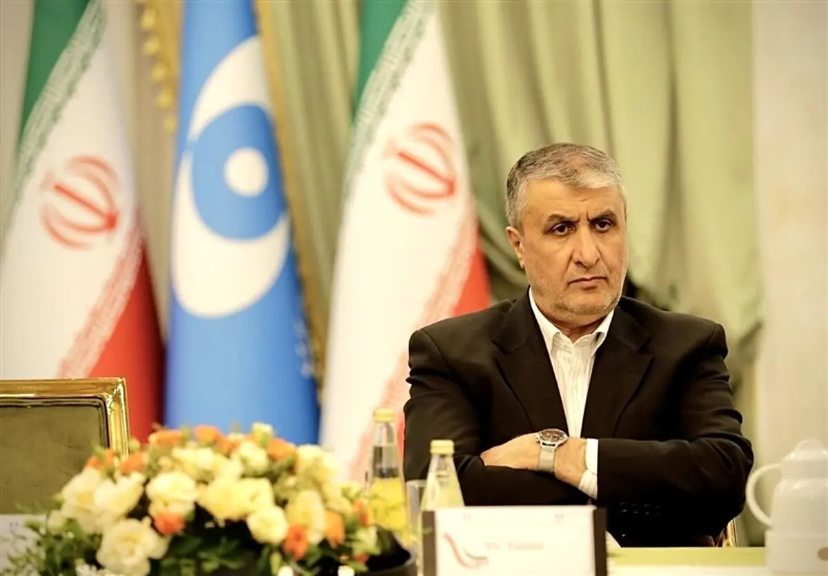 اسلامی: ۵۶ کشور متقاضی محصولات سازمان انرژی اتمی ایران هستند