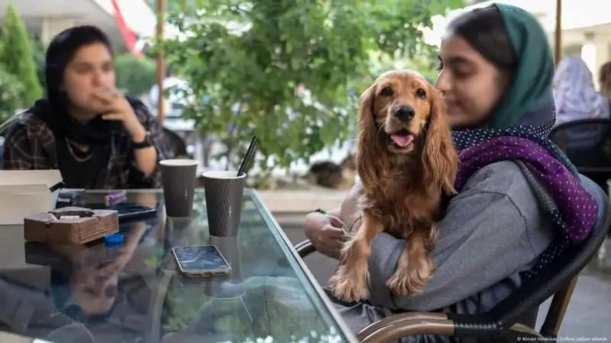 بررسی دوباره طرح مقابله با نگهداری از حیوانات خانگی در مجلس