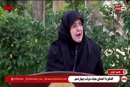  مهاجرانی: دولت درباره قانون عفاف و حجاب ملاحظاتی دارد