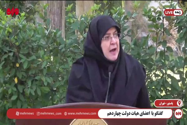  مهاجرانی: دولت درباره قانون عفاف و حجاب ملاحظاتی دارد