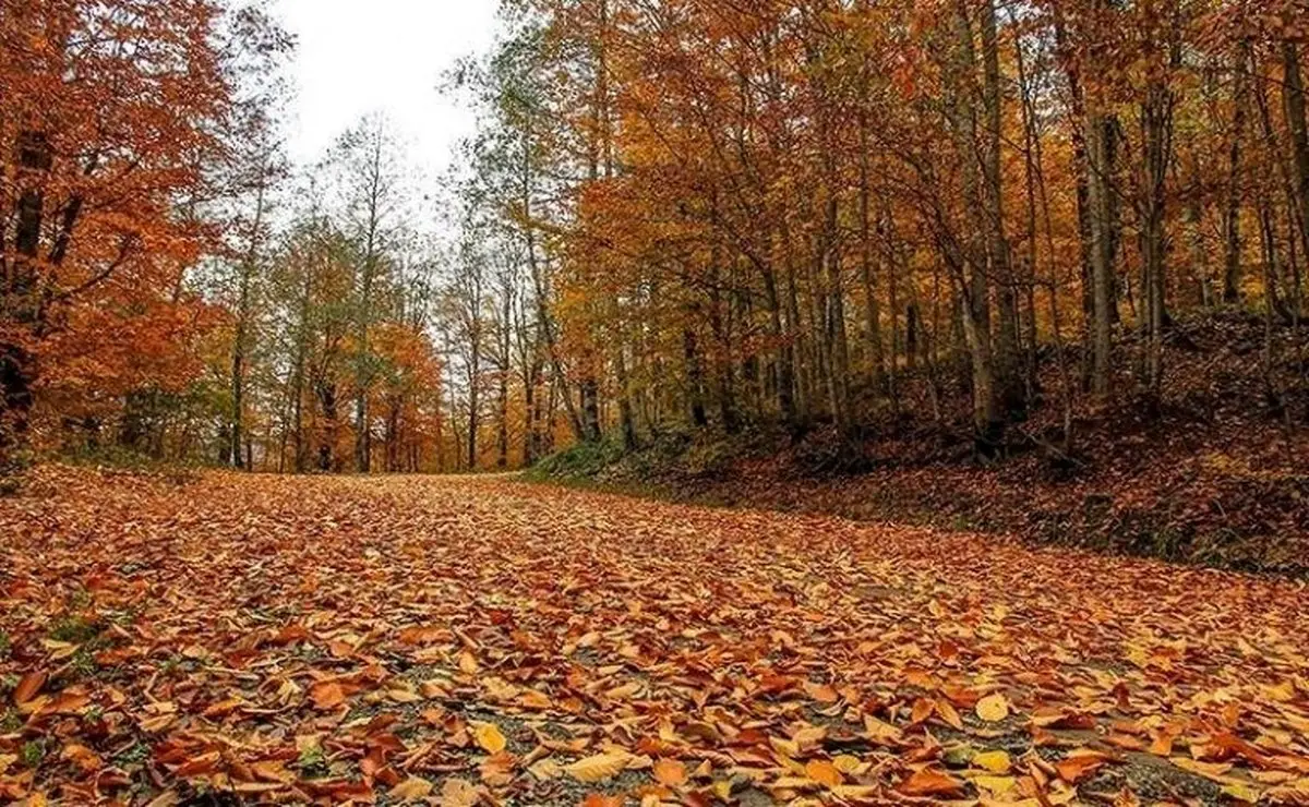 سفر به شمال ایران در پاییز