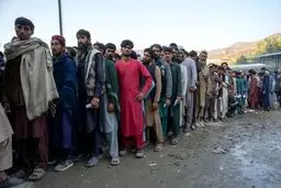 جای نخبگان را با افغان‌ها پُر کردیم!