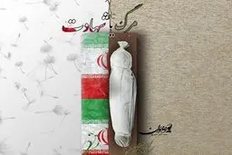 شهادت دردناک یکی از مرزبانان در بانه + جزئیات