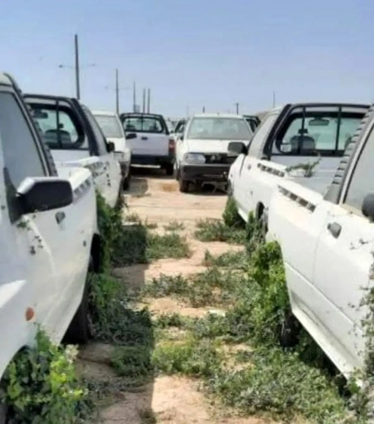 جوانه زدن پراید وانت ها در پارکینگ سایپا | ماجرا چیست؟