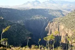 انصارالله: ائتلاف عربی پایگاه نظامی در جزیره سقطری ایجاد کرده است