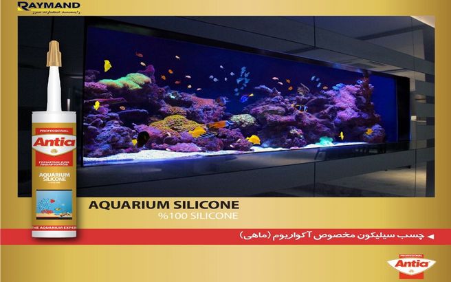 چسب آکواریوم چیست و چه کاربردی دارد؟