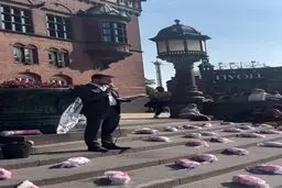 حرکت نمادین دانمارکی ها در حمایت از غزه