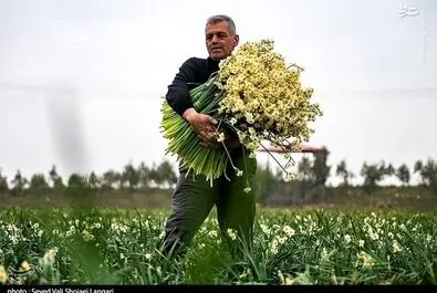 روز کارگر