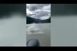 دیده شدن و صید ماهی خاویاری خزری در کانادا