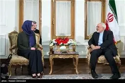 دیدار رئیس کمیسیون روابط خارجی سنای مکزیک با ظریف/تصاویر