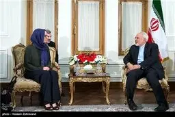 دیدار رئیس کمیسیون روابط خارجی سنای مکزیک با ظریف/تصاویر