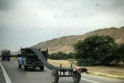 خلاقیت عجیب و خطرناک یک نیسان آبی/ عکس