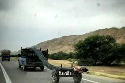 خلاقیت عجیب و خطرناک یک نیسان آبی/ عکس