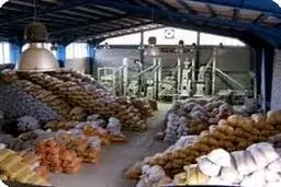 دیگر برنج هندی به ایران صادر نمی‌شود؟