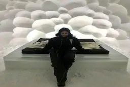 ژست های الناز شاکردوست در هتل یخی سوئد/تصاویر