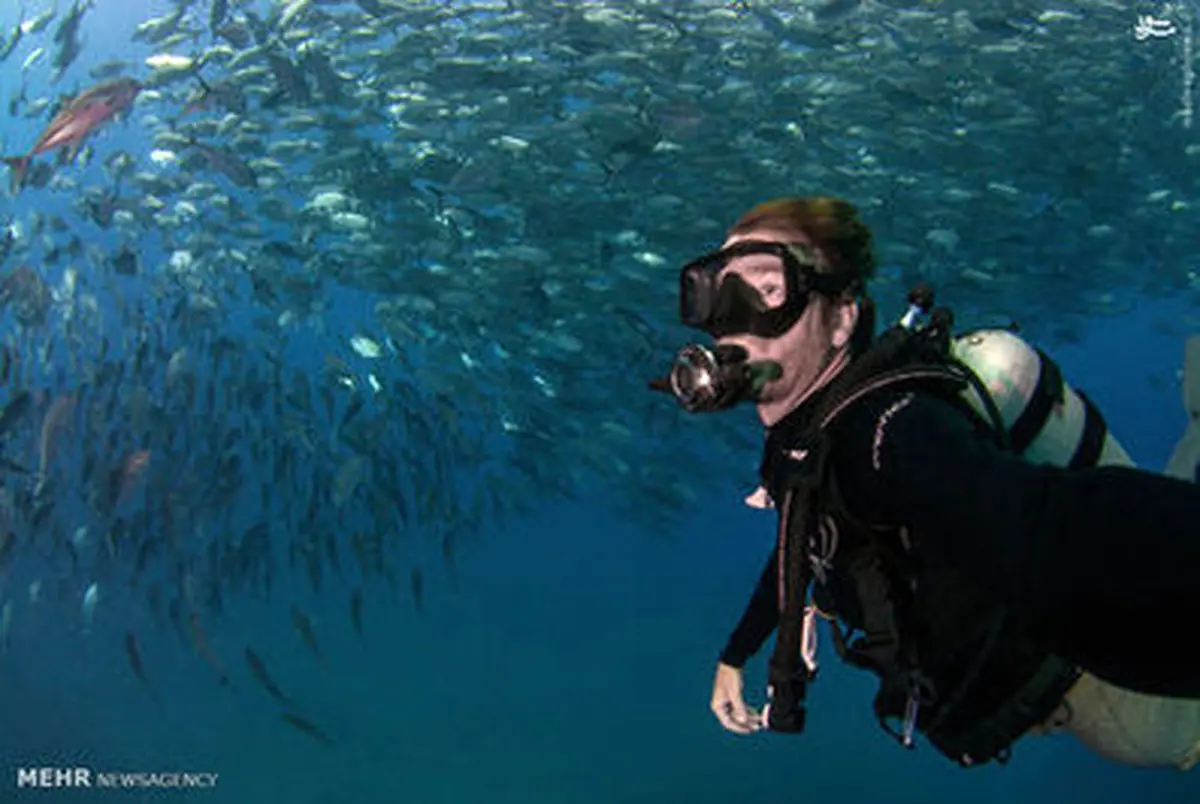 سلفی گرفتن با ماهی/ تصاویر