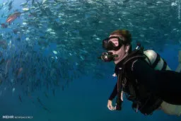 سلفی گرفتن با ماهی/ تصاویر