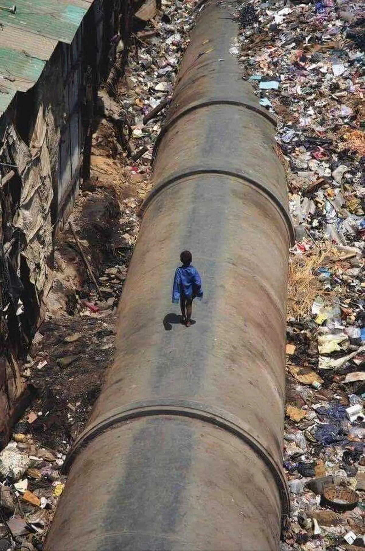 فقر روی ثروت/عکس