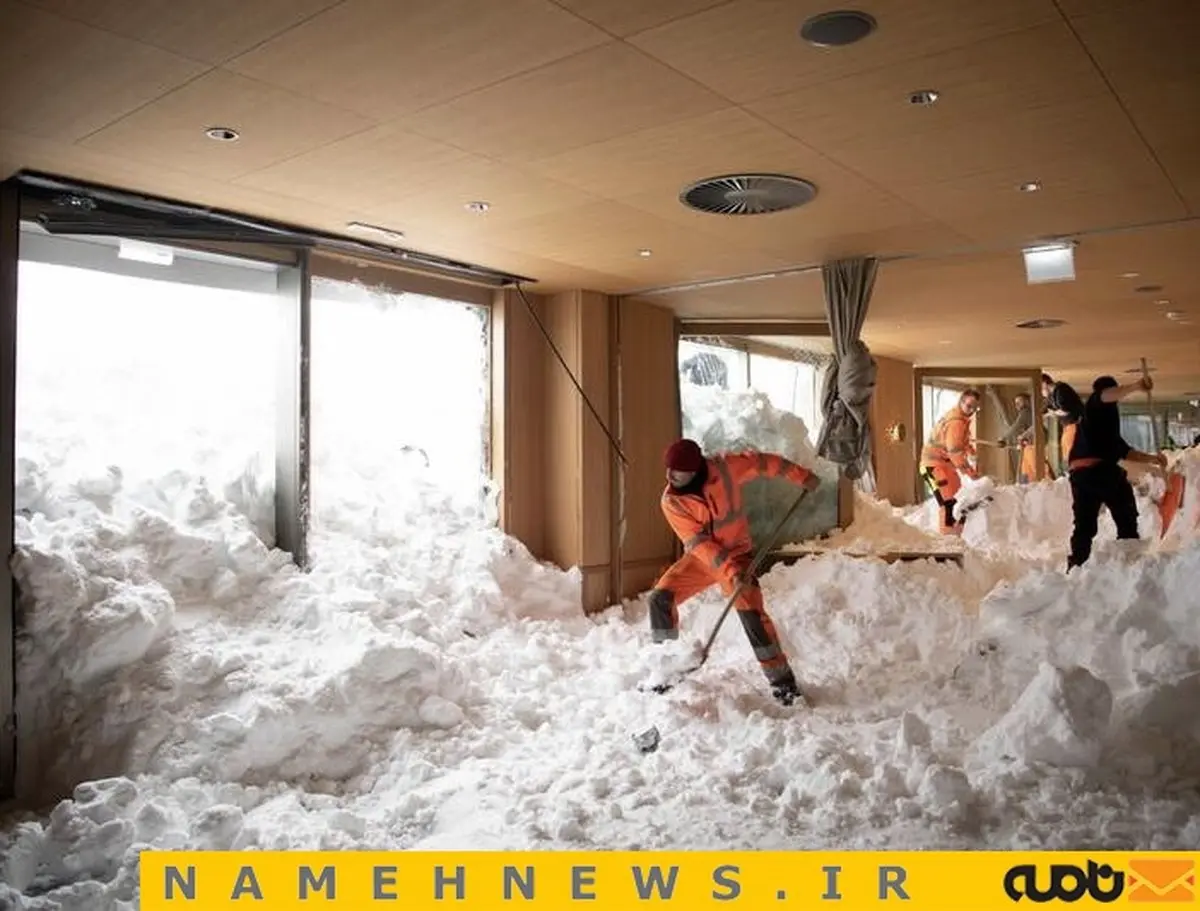 بهمنی که وارد رستوران شد/ عکس