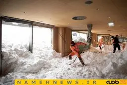 بهمنی که وارد رستوران شد/ عکس