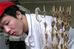 کباب عقرب برای جذب گردشگر/عکس