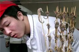 کباب عقرب برای جذب گردشگر/عکس