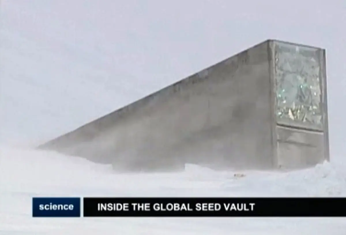 محل ذخیره بذرهای خوراکی را برای روز مبادا ببینید/ سیلویی برای روز قحطی