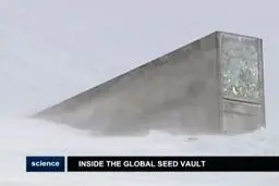 محل ذخیره بذرهای خوراکی را برای روز مبادا ببینید/ سیلویی برای روز قحطی