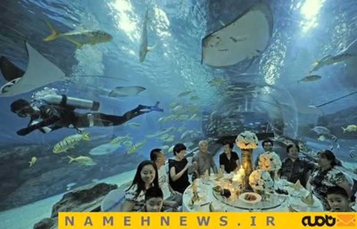 صرف غذا در رستورانی زیر آب/ تصاویر