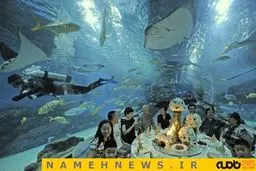 صرف غذا در رستورانی زیر آب/ تصاویر