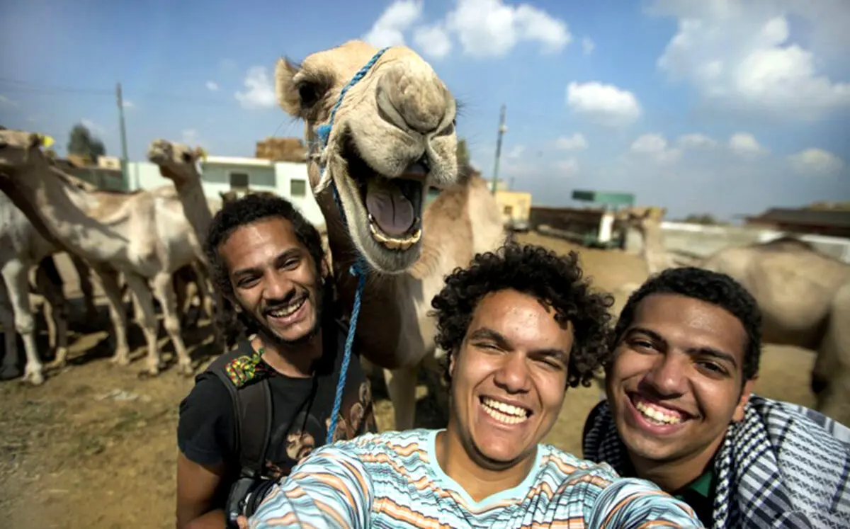 عکس سلفی با شتر