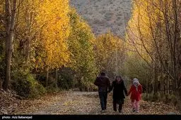 تصاویری از پاییز رویایی در لرستان/تصاویر