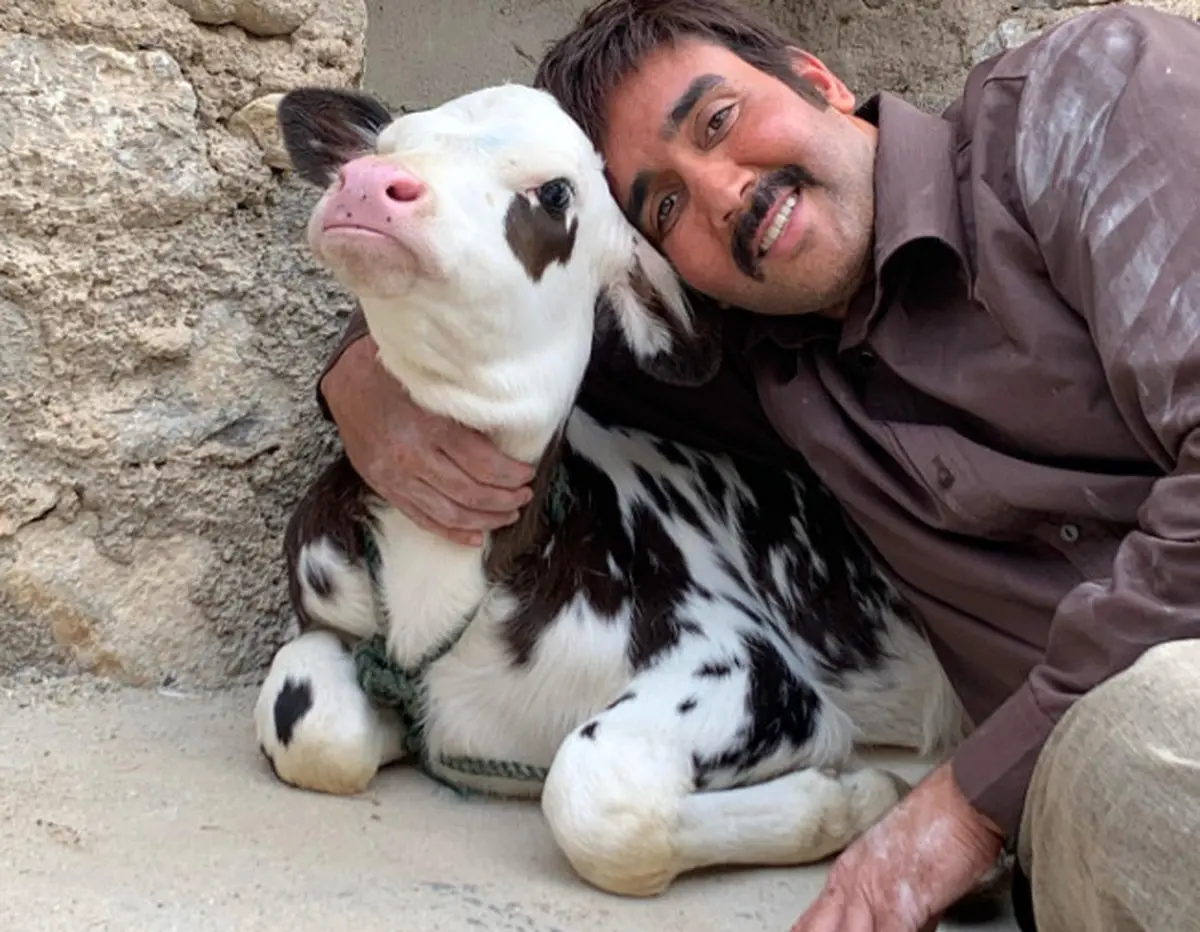 عکس / عکس متفاوت پوریا پورسرخ!