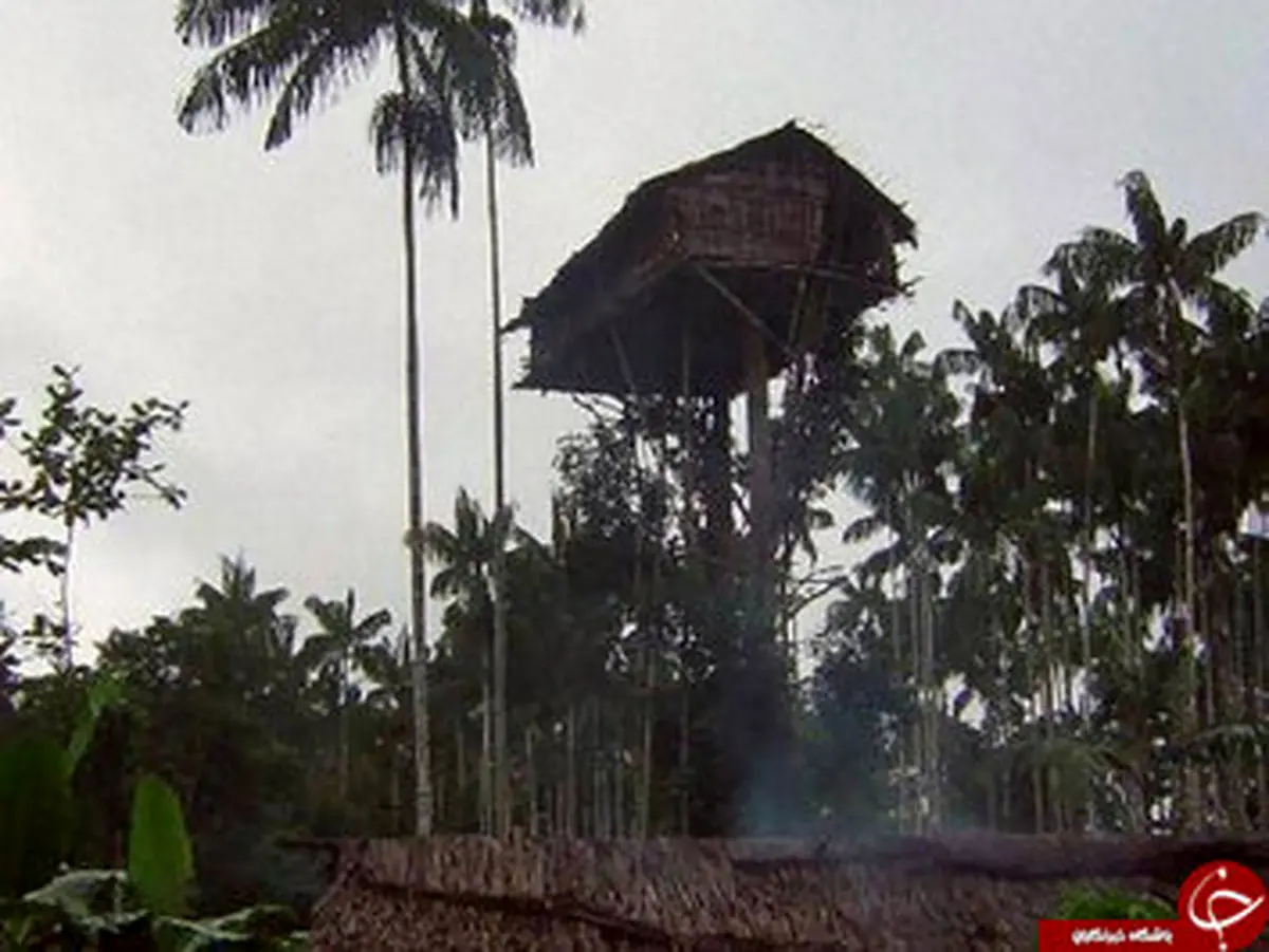 جزيره آدم خوارها/ تصاوير