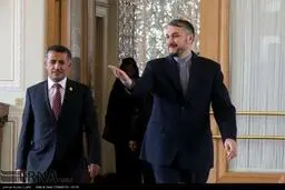 حاشیه‌های دیدار هیات یمنی با معاون ظریف/تصاویر