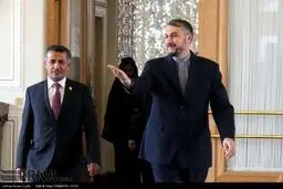 حاشیه‌های دیدار هیات یمنی با معاون ظریف/تصاویر