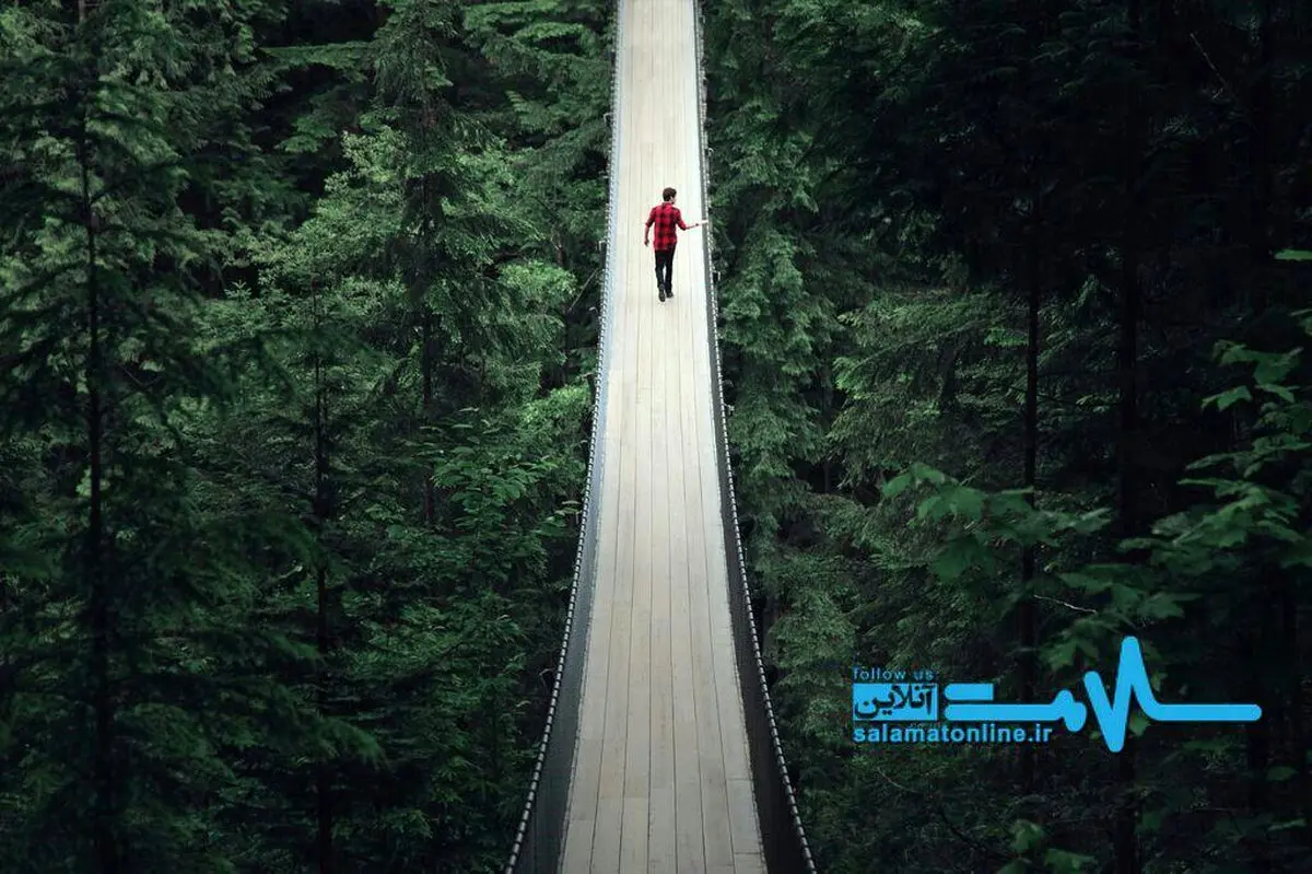 پل معلق کاپیلانو در ونکوور کانادا/عکس