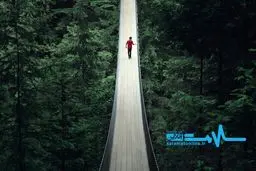 پل معلق کاپیلانو در ونکوور کانادا/عکس