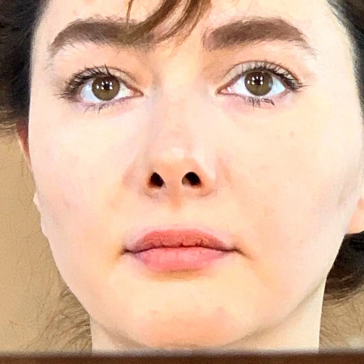 پرتره کمتردیده شده هانیه توسلی